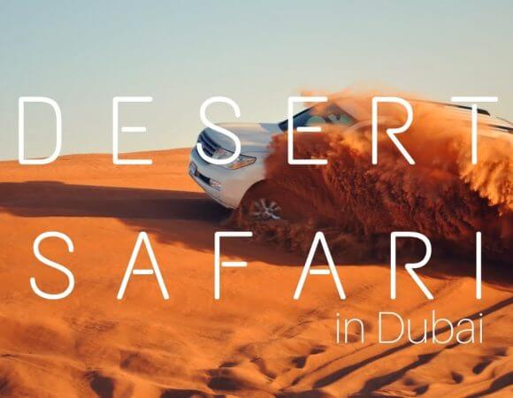 Dubai Desert Safari half day