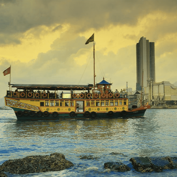 Full Day Dhow Cruise