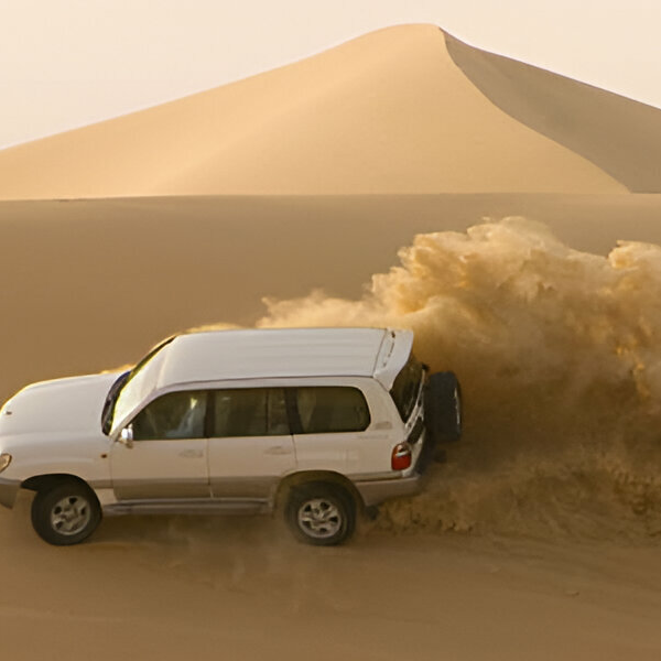 Desert Safari Tour