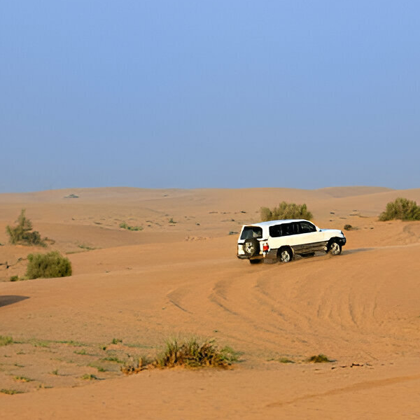 Desert Safari Tour