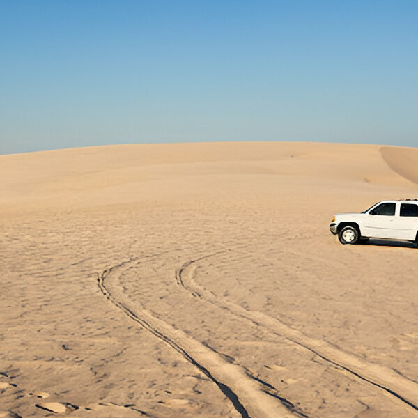 Desert Safari Tour