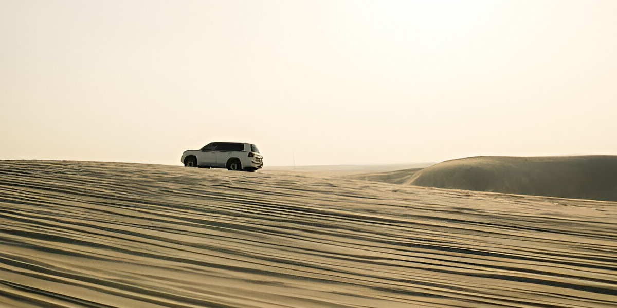 Desert Safari Tour - 4 Hours